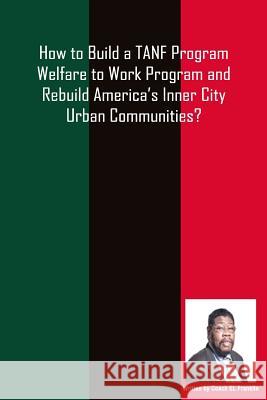 How to Build a TANF Program Welfare to Work Program and Rebuild America's Inner City Urban Communities?