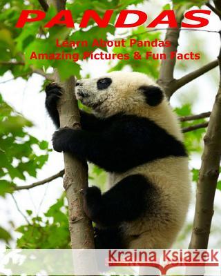 Pandas: Learn About Pandas Amazing Pictures & Fun Facts