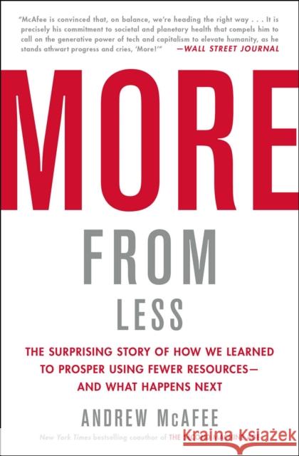 More from Less: The Surprising Story of How We Learned to Prosper Using Fewer Resources--And What Happens Next