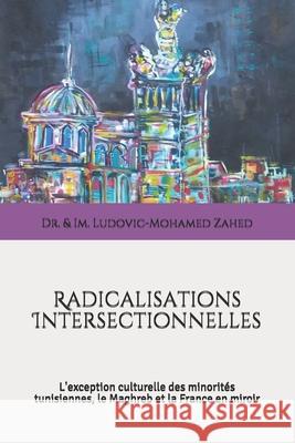 Radicalisations Intersectionnelles: L'exception culturelle des minorités tunisiennes, le Maghreb et la France en miroir