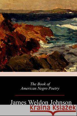 The Book of American Negro Poetry