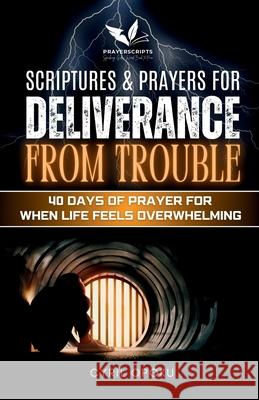 Scriptures & Prayers for Deliverance from Trouble: 40 Days of Prayer for When Life Feels Overwhelming