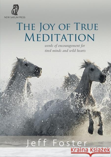 The joy of True Meditation: Words of Encouragement for Tired Minds and Wild Hearts