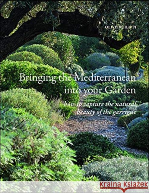 Bringing the Mediterranean into your Garden: How to Capture the Natural Beauty of the Garrigue