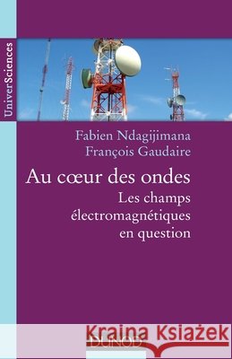Au coeur des ondes - Les champs ?lectromagn?tiques en question: Les champs ?lectromagn?tiques en question
