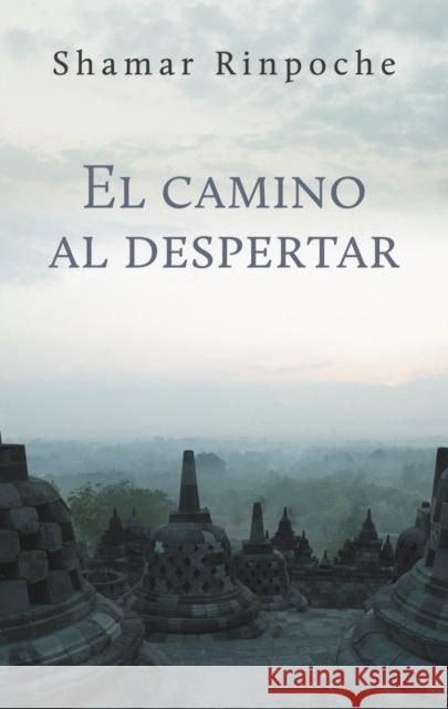 El camino al despertar