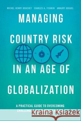 Managing Country Risk in an Age of Globalization: A Practical Guide to Overcoming Challenges in a Complex World