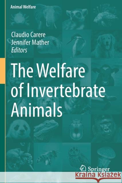 The Welfare of Invertebrate Animals