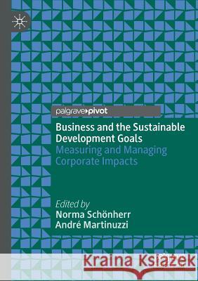 Business and the Sustainable Development Goals: Measuring and Managing Corporate Impacts