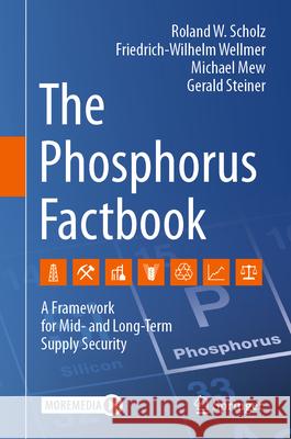 The Phosphorus Factbook: A Framework for Mid- and Long-term Supply Security