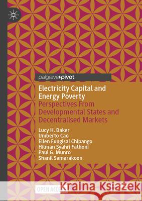 Electricity Capital and Energy Poverty: Perspectives from Developmental States and Decentralised Markets