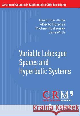 Variable Lebesgue Spaces and Hyperbolic Systems