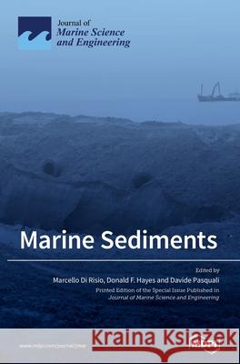 Marine Sediments: Processes, Transport and Environmental Aspects