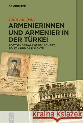 Armenierinnen Und Armenier in Der Türkei: Postgenozidale Gesellschaft, Politik Und Geschichte