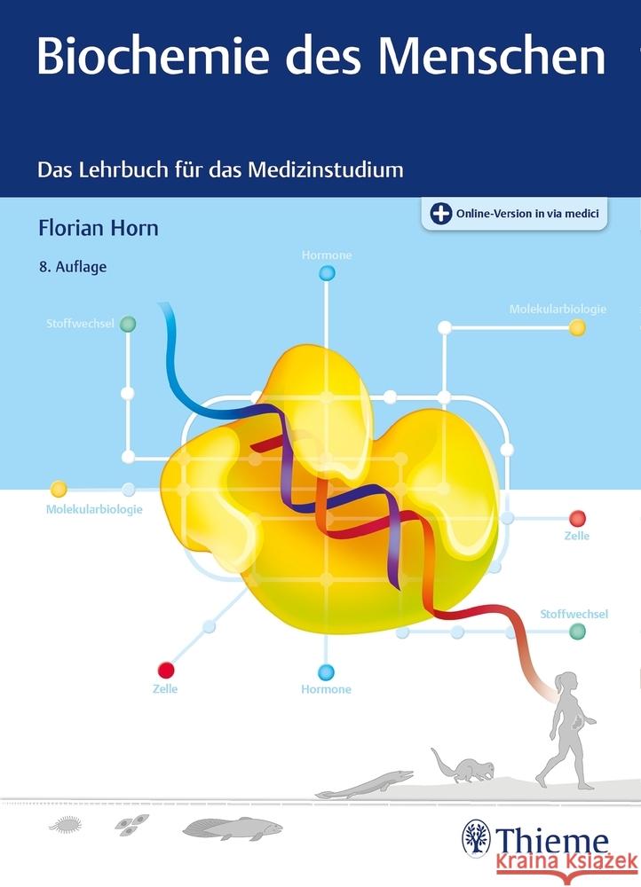 Biochemie des Menschen