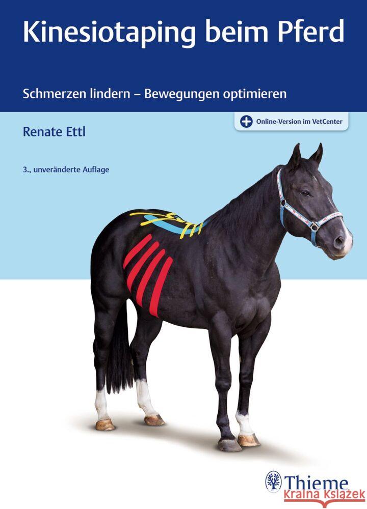 Kinesiotaping beim Pferd