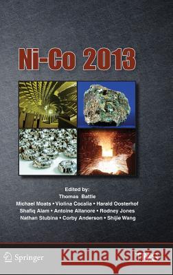 Ni-Co 2013