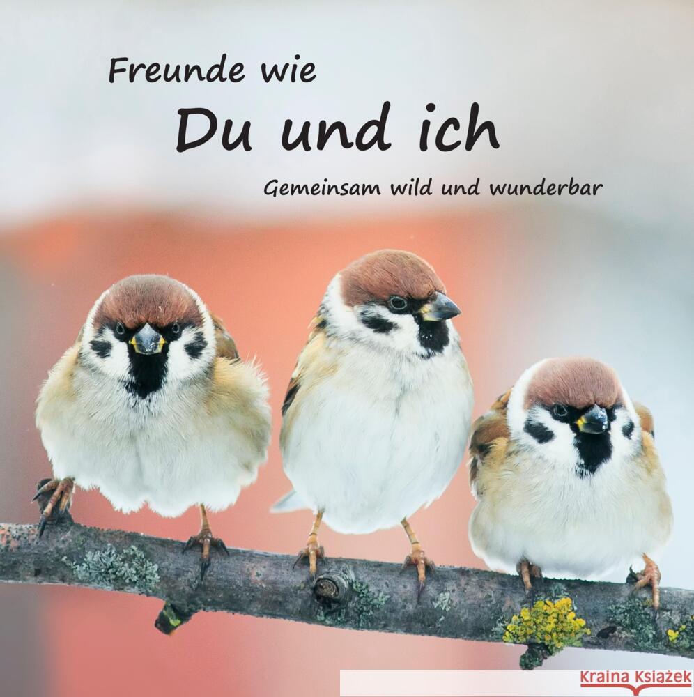 Freunde wie du und ich - das beste Freundebuch weit und breit