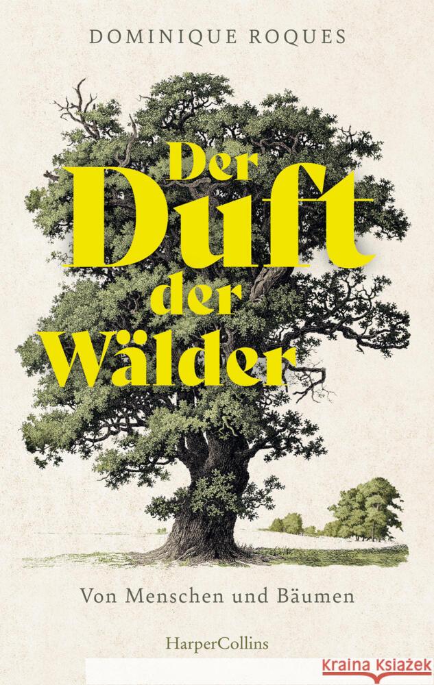 Der Duft der Wälder. Von Menschen und Bäumen