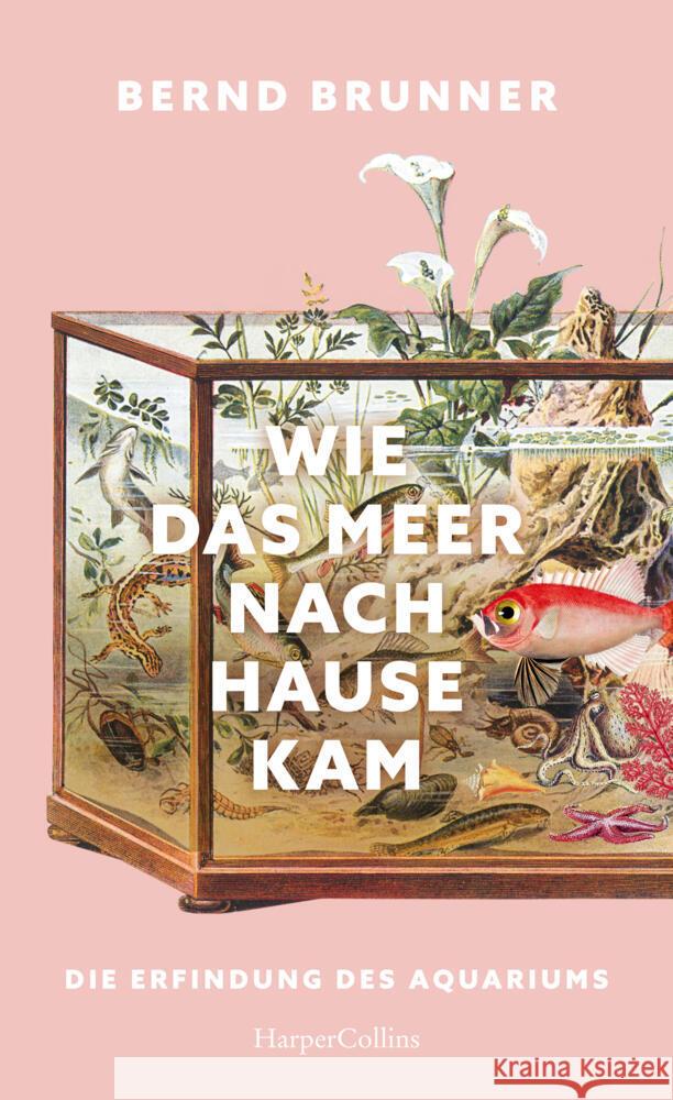 Wie das Meer nach Hause kam. Die Erfindung des Aquariums