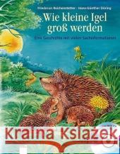 Wie kleine Igel groß werden, m. Audio-CD : Eine Geschichte mit vielen Sachinformationen