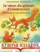 So leben die kleinen Eichhörnchen, m. Audio-CD : Eine Geschichte mit vielen Sachinformationen