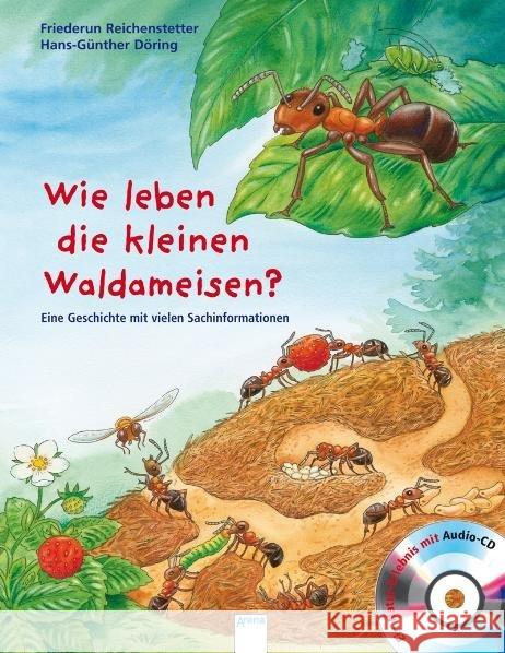 Wie leben die kleinen Waldameisen?, m. Audio-CD : Eine Geschichte mit vielen Sachinformationen