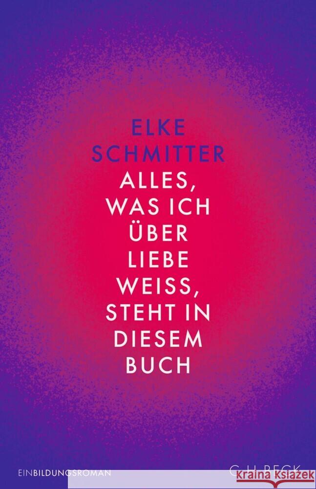 Alles, was ich über Liebe weiß, steht in diesem Buch