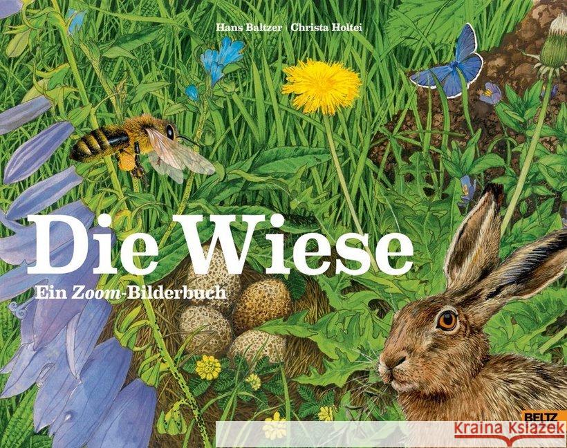 Die Wiese : Ein Zoom-Bilderbuch