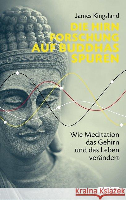 Die Hirnforschung auf Buddhas Spuren : Wie Meditation das Gehirn und das Leben verändert