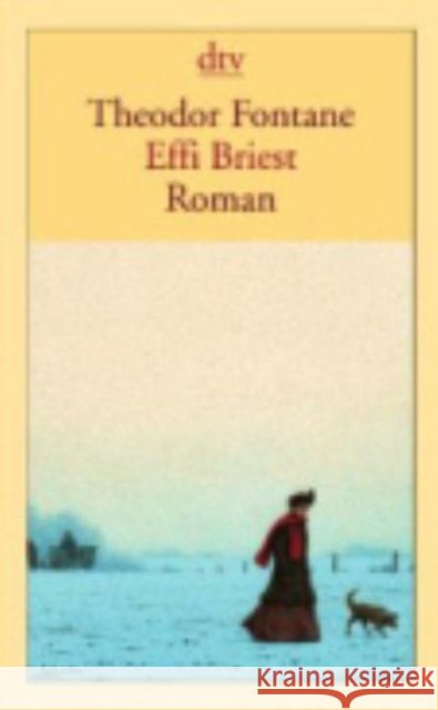 Effi Briest : Roman