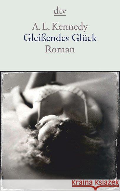 Gleißendes Glück : Roman. Deutsche Erstausgabe