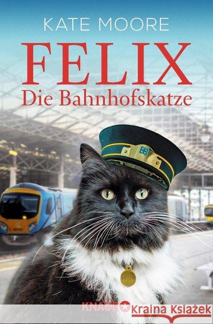 Felix - Die Bahnhofskatze