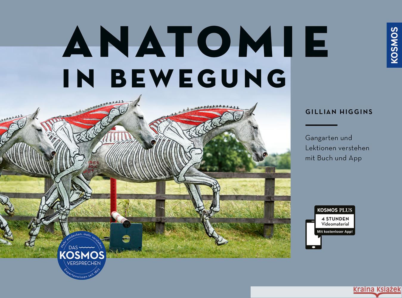 Anatomie in Bewegung