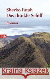 Das dunkle Schiff : Roman