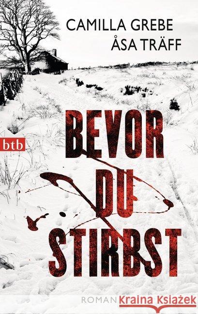 Bevor du stirbst : Roman