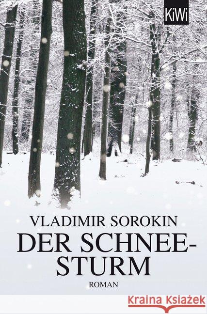 Der Schneesturm : Roman