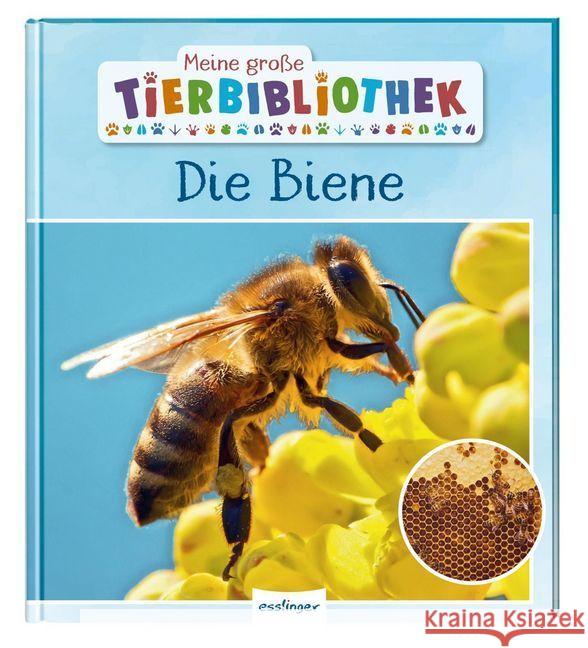 Meine große Tierbibliothek: Die Biene