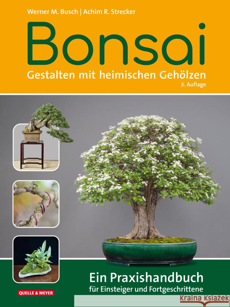 Bonsai - Gestalten mit heimischen Gehölzen