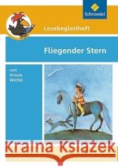 Ursula Wölfel 'Fliegender Stern', Lesebegleitheft : Ab Klasse 3/4