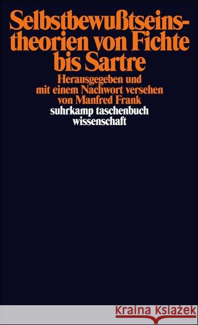 Selbstbewußtseinstheorien von Fichte bis Sartre