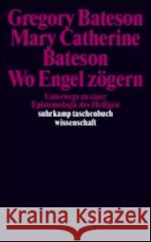 Wo Engel zögern : Unterwegs zu einer Epistemologie des Heiligen