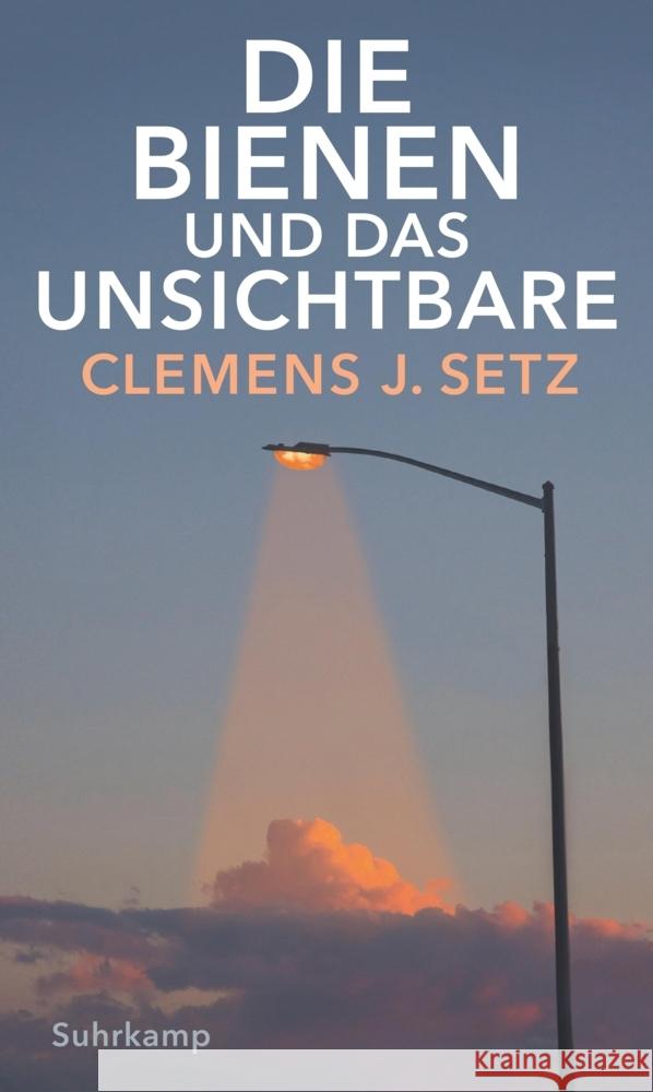 Die Bienen und das Unsichtbare