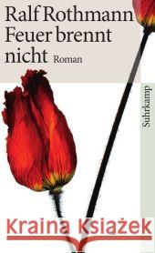 Feuer brennt nicht : Roman