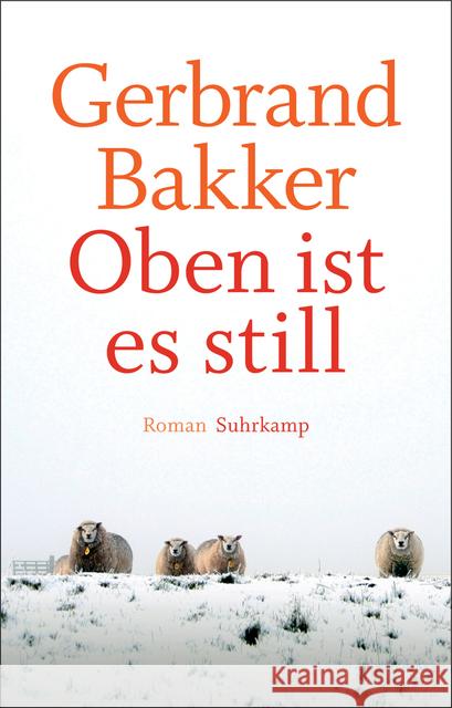 Oben ist es still : Roman. Ausgezeichnet mit dem International IMPAC Dublin Literary Award 2010