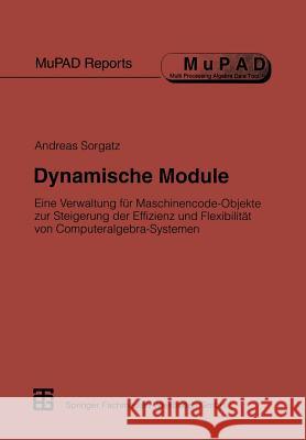 Dynamische Module: Eine Verwaltung Für Maschinencode-Objekte Zur Steigerung Der Effizienz Und Flexibilität Von Computeralgebra-Systemen