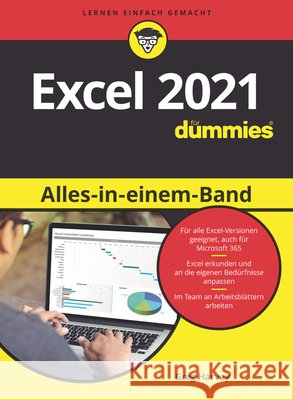 Excel 2021 Alles-in-einem-Band fur Dummies