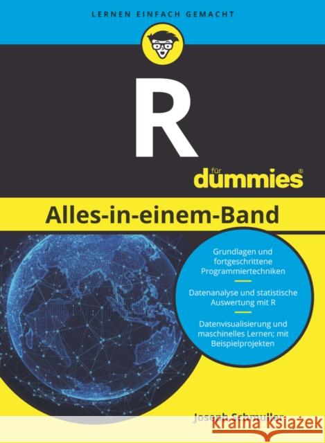 R Alles-in-einem-Band f r Dummies