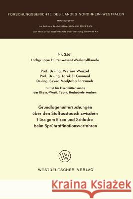 Grundlagenuntersuchungen Über Den Stoffaustausch Zwischen Flüssigem Eisen Und Schlacke Beim Sprühraffinationsverfahren