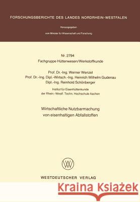 Wirtschaftliche Nutzbarmachung Von Eisenhaltigen Abfallstoffen